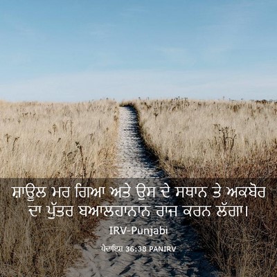 Picture 03 - ਪੈਦਾਇਸ਼ 36:38 PANIRV - ਸ਼ਾਊਲ ਮਰ ਗਿਆ ਅਤੇ ਉਸ - Bible Verse Picture