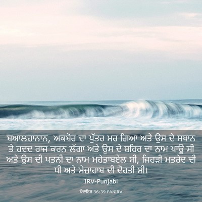 Picture 03 - ਪੈਦਾਇਸ਼ 36:39 PANIRV - ਬਆਲਹਾਨਾਨ, ਅਕਬੋਰ ਦਾ - Bible Verse Picture