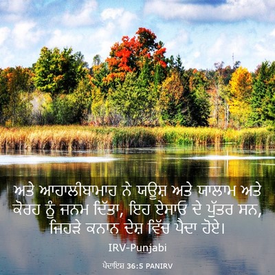 Picture 03 - ਪੈਦਾਇਸ਼ 36:5 PANIRV - ਅਤੇ ਆਹਾਲੀਬਾਮਾਹ ਨੇ - Bible Verse Picture