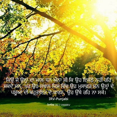 Picture 03 - ਪੈਦਾਇਸ਼ 36:7 PANIRV - ਕਿਉਂ ਜੋ ਉਨ੍ਹਾਂ ਦਾ - Bible Verse Picture