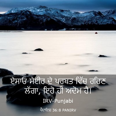 Picture 03 - ਪੈਦਾਇਸ਼ 36:8 PANIRV - ਏਸਾਓ ਸੇਈਰ ਦੇ ਪਰਬਤ - Bible Verse Picture