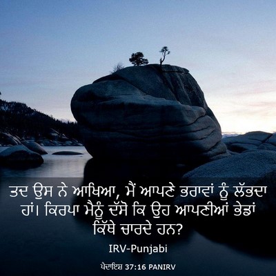 Picture 03 - ਪੈਦਾਇਸ਼ 37:16 PANIRV - ਤਦ ਉਸ ਨੇ ਆਖਿਆ, ਮੈਂ - Bible Verse Picture