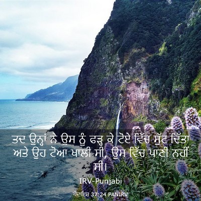 Picture 03 - ਪੈਦਾਇਸ਼ 37:24 PANIRV - ਤਦ ਉਨ੍ਹਾਂ ਨੇ ਉਸ ਨੂੰ - Bible Verse Picture