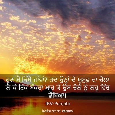 Picture 03 - ਪੈਦਾਇਸ਼ 37:31 PANIRV - ਹੁਣ ਮੈਂ ਕਿੱਥੇ - Bible Verse Picture