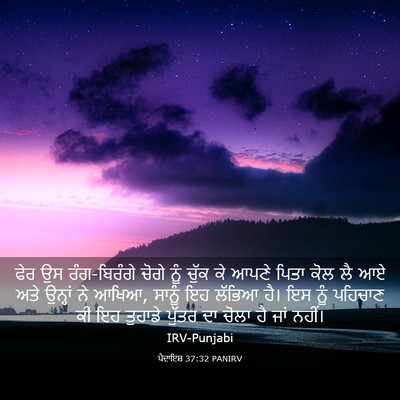 Picture 03 - ਪੈਦਾਇਸ਼ 37:32 PANIRV - ਫੇਰ ਉਸ ਰੰਗ-ਬਿਰੰਗੇ - Bible Verse Picture