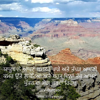 Picture 03 - ਪੈਦਾਇਸ਼ 37:34 PANIRV - ਯਾਕੂਬ ਨੇ ਆਪਣੇ ਬਸਤਰ - Bible Verse Picture