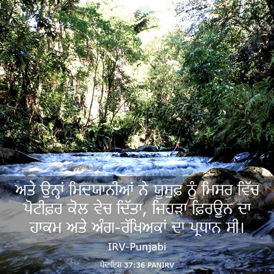 Picture 03 - ਪੈਦਾਇਸ਼ 37:36 PANIRV - ਅਤੇ ਉਨ੍ਹਾਂ - Bible Verse Picture