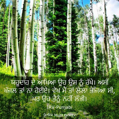Picture 03 - ਪੈਦਾਇਸ਼ 38:23 PANIRV - ਯਹੂਦਾਹ ਦੇ ਆਖਿਆ ਉਹ - Bible Verse Picture