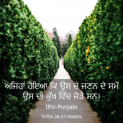 Picture 03 - ਪੈਦਾਇਸ਼ 38:27 PANIRV - ਅਜਿਹਾ ਹੋਇਆ ਕਿ ਉਸ ਦੇ - Bible Verse Picture