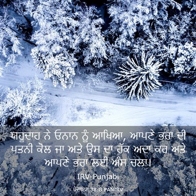 Picture 03 - ਪੈਦਾਇਸ਼ 38:8 PANIRV - ਯਹੂਦਾਹ ਨੇ ਓਨਾਨ ਨੂੰ - Bible Verse Picture