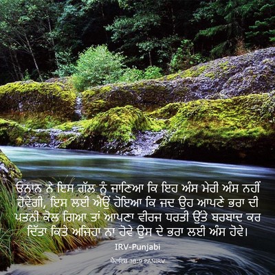 Picture 03 - ਪੈਦਾਇਸ਼ 38:9 PANIRV - ਓਨਾਨ ਨੇ ਇਸ ਗੱਲ ਨੂੰ - Bible Verse Picture