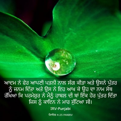Picture 03 - ਪੈਦਾਇਸ਼ 4:25 PANIRV - ਆਦਮ ਨੇ ਫੇਰ ਆਪਣੀ - Bible Verse Picture