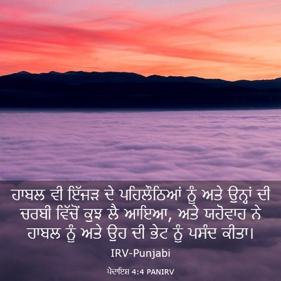 Picture 03 - ਪੈਦਾਇਸ਼ 4:4 PANIRV - ਹਾਬਲ ਵੀ ਇੱਜੜ ਦੇ - Bible Verse Picture