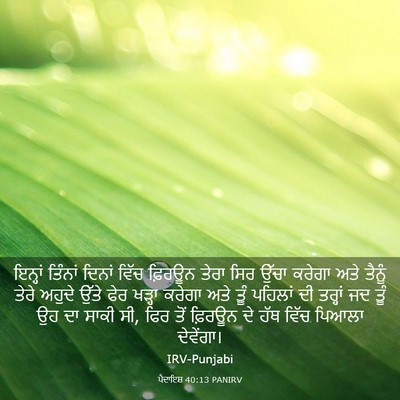 Picture 03 - ਪੈਦਾਇਸ਼ 40:13 PANIRV - ਇਨ੍ਹਾਂ ਤਿੰਨਾਂ - Bible Verse Picture
