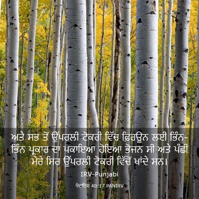 Picture 03 - ਪੈਦਾਇਸ਼ 40:17 PANIRV - ਅਤੇ ਸਭ ਤੋਂ ਉੱਪਰਲੀ - Bible Verse Picture