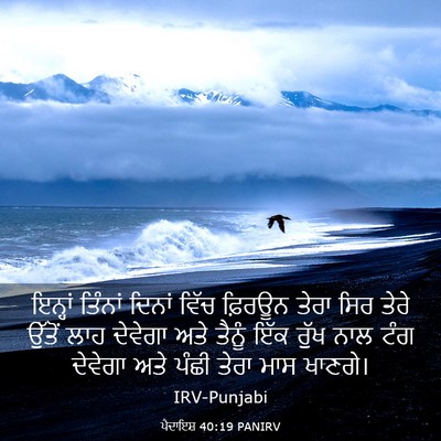 Picture 03 - ਪੈਦਾਇਸ਼ 40:19 PANIRV - ਇਨ੍ਹਾਂ ਤਿੰਨਾਂ - Bible Verse Picture
