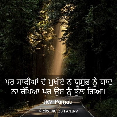 Picture 03 - ਪੈਦਾਇਸ਼ 40:23 PANIRV - ਪਰ ਸਾਕੀਆਂ ਦੇ ਮੁਖੀਏ - Bible Verse Picture