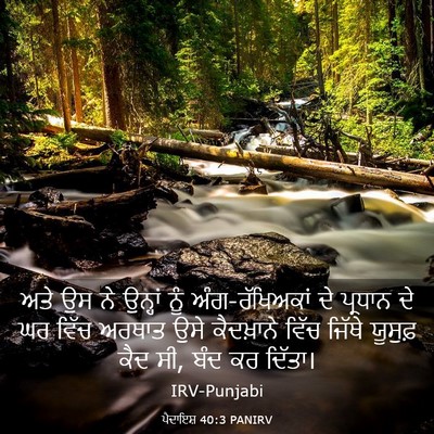 Picture 03 - ਪੈਦਾਇਸ਼ 40:3 PANIRV - ਅਤੇ ਉਸ ਨੇ ਉਨ੍ਹਾਂ - Bible Verse Picture