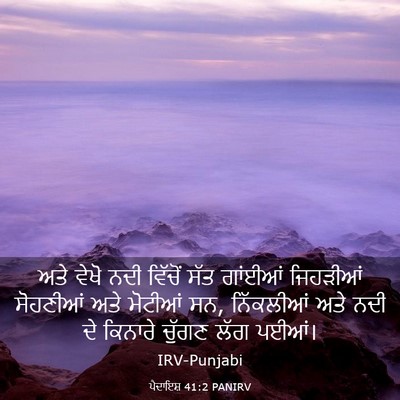 Picture 03 - ਪੈਦਾਇਸ਼ 41:2 PANIRV - ਅਤੇ ਵੇਖੋ ਨਦੀ - Bible Verse Picture
