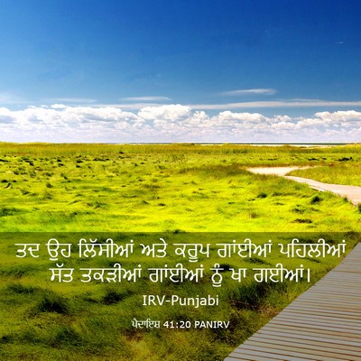Picture 03 - ਪੈਦਾਇਸ਼ 41:20 PANIRV - ਤਦ ਉਹ ਲਿੱਸੀਆਂ ਅਤੇ - Bible Verse Picture
