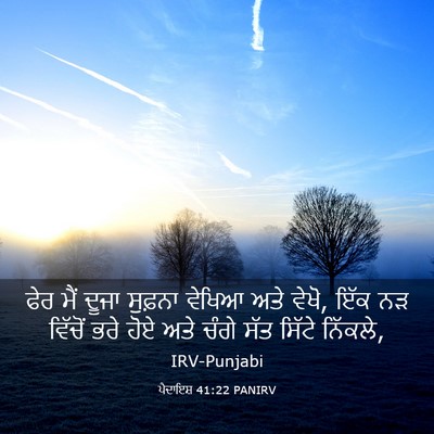 Picture 03 - ਪੈਦਾਇਸ਼ 41:22 PANIRV - ਫੇਰ ਮੈਂ ਦੂਜਾ - Bible Verse Picture