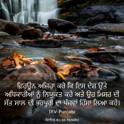 Picture 03 - ਪੈਦਾਇਸ਼ 41:34 PANIRV - ਫ਼ਿਰਊਨ ਅਜਿਹਾ ਕਰੇ - Bible Verse Picture