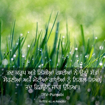 Picture 03 - ਪੈਦਾਇਸ਼ 41:4 PANIRV - ਤਦ ਕਰੂਪ ਅਤੇ - Bible Verse Picture