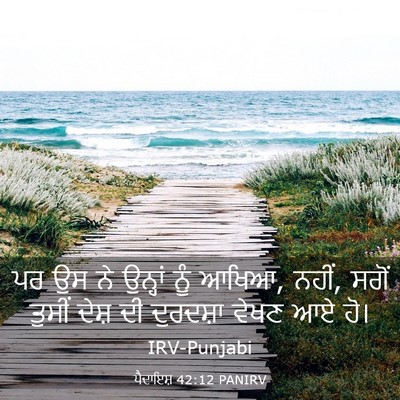 Picture 03 - ਪੈਦਾਇਸ਼ 42:12 PANIRV - ਪਰ ਉਸ ਨੇ ਉਨ੍ਹਾਂ ਨੂੰ - Bible Verse Picture