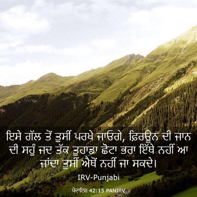 Picture 03 - ਪੈਦਾਇਸ਼ 42:15 PANIRV - ਇਸੇ ਗੱਲ ਤੋਂ ਤੁਸੀਂ - Bible Verse Picture