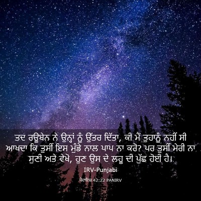 Picture 03 - ਪੈਦਾਇਸ਼ 42:22 PANIRV - ਤਦ ਰਊਬੇਨ ਨੇ ਉਨ੍ਹਾਂ - Bible Verse Picture