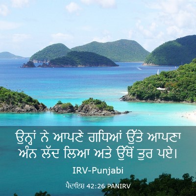 Picture 03 - ਪੈਦਾਇਸ਼ 42:26 PANIRV - ਉਨ੍ਹਾਂ ਨੇ ਆਪਣੇ - Bible Verse Picture