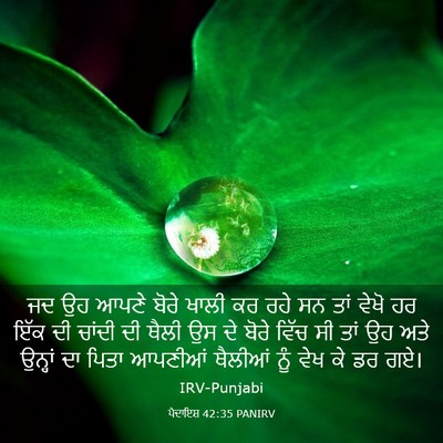 Picture 03 - ਪੈਦਾਇਸ਼ 42:35 PANIRV - ਜਦ ਉਹ ਆਪਣੇ ਬੋਰੇ - Bible Verse Picture