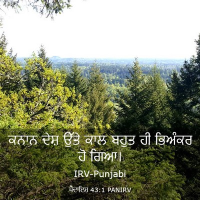 Picture 03 - ਪੈਦਾਇਸ਼ 43:1 PANIRV - ਕਨਾਨ ਦੇਸ਼ ਉੱਤੇ ਕਾਲ - Bible Verse Picture