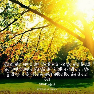 Picture 03 - ਪੈਦਾਇਸ਼ 43:12 PANIRV - ਦੁੱਗਣੀ ਚਾਂਦੀ ਆਪਣੇ - Bible Verse Picture