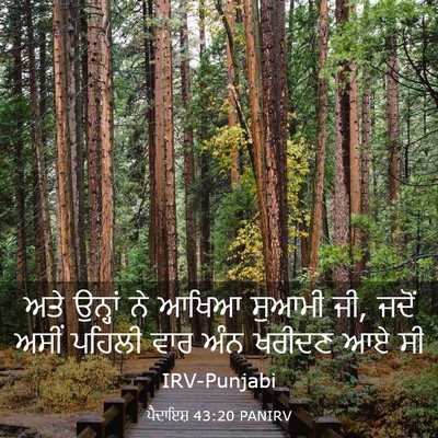 Picture 03 - ਪੈਦਾਇਸ਼ 43:20 PANIRV - ਅਤੇ ਉਨ੍ਹਾਂ ਨੇ ਆਖਿਆ - Bible Verse Picture