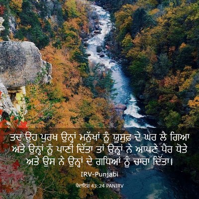 Picture 03 - ਪੈਦਾਇਸ਼ 43:24 PANIRV - ਤਦ ਉਹ ਪੁਰਖ ਉਨ੍ਹਾਂ - Bible Verse Picture