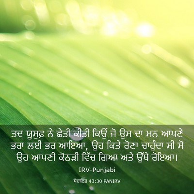 Picture 03 - ਪੈਦਾਇਸ਼ 43:30 PANIRV - ਤਦ ਯੂਸੁਫ਼ ਨੇ ਛੇਤੀ - Bible Verse Picture