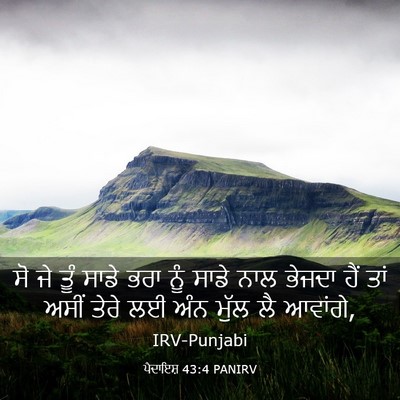 Picture 03 - ਪੈਦਾਇਸ਼ 43:4 PANIRV - ਸੋ ਜੇ ਤੂੰ ਸਾਡੇ ਭਰਾ - Bible Verse Picture