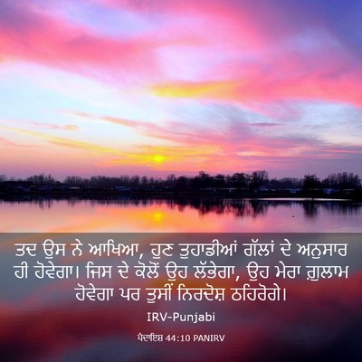 Picture 03 - ਪੈਦਾਇਸ਼ 44:10 PANIRV - ਤਦ ਉਸ ਨੇ ਆਖਿਆ, ਹੁਣ - Bible Verse Picture