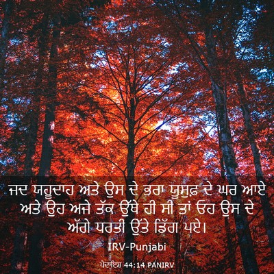 Picture 03 - ਪੈਦਾਇਸ਼ 44:14 PANIRV - ਜਦ ਯਹੂਦਾਹ ਅਤੇ ਉਸ ਦੇ - Bible Verse Picture