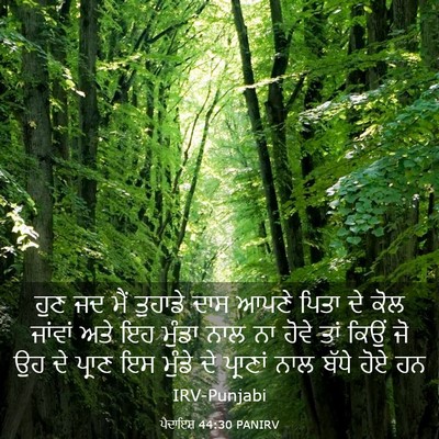 Picture 03 - ਪੈਦਾਇਸ਼ 44:30 PANIRV - ਹੁਣ ਜਦ ਮੈਂ ਤੁਹਾਡੇ - Bible Verse Picture