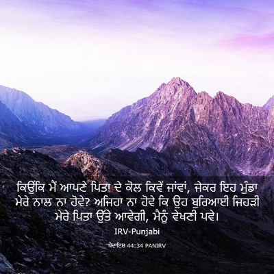 Picture 03 - ਪੈਦਾਇਸ਼ 44:34 PANIRV - ਕਿਉਂਕਿ ਮੈਂ ਆਪਣੇ - Bible Verse Picture