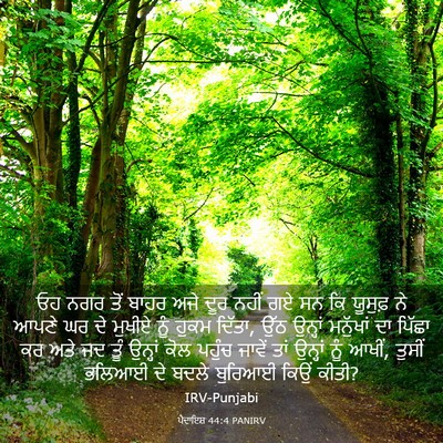Picture 03 - ਪੈਦਾਇਸ਼ 44:4 PANIRV - ਓਹ ਨਗਰ ਤੋਂ ਬਾਹਰ ਅਜੇ - Bible Verse Picture