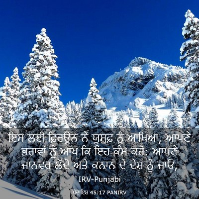 Picture 03 - ਪੈਦਾਇਸ਼ 45:17 PANIRV - ਇਸ ਲਈ ਫ਼ਿਰਊਨ ਨੇ - Bible Verse Picture