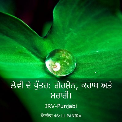 Picture 03 - ਪੈਦਾਇਸ਼ 46:11 PANIRV - ਲੇਵੀ ਦੇ ਪੁੱਤਰ: - Bible Verse Picture