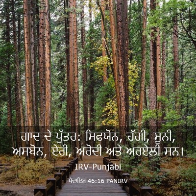 Picture 03 - ਪੈਦਾਇਸ਼ 46:16 PANIRV - ਗਾਦ ਦੇ ਪੁੱਤਰ: - Bible Verse Picture