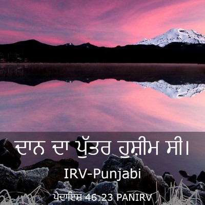 Picture 03 - ਪੈਦਾਇਸ਼ 46:23 PANIRV - ਦਾਨ ਦਾ ਪੁੱਤਰ - Bible Verse Picture