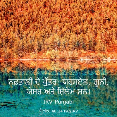 Picture 03 - ਪੈਦਾਇਸ਼ 46:24 PANIRV - ਨਫ਼ਤਾਲੀ ਦੇ ਪੁੱਤਰ: - Bible Verse Picture