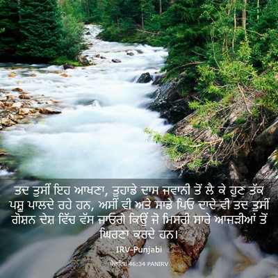 Picture 03 - ਪੈਦਾਇਸ਼ 46:34 PANIRV - ਤਦ ਤੁਸੀਂ ਇਹ ਆਖਣਾ, - Bible Verse Picture