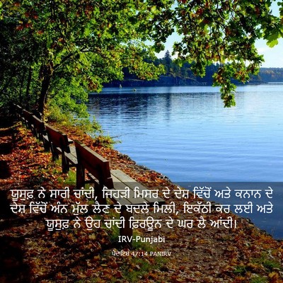 Picture 03 - ਪੈਦਾਇਸ਼ 47:14 PANIRV - ਯੂਸੁਫ਼ ਨੇ ਸਾਰੀ - Bible Verse Picture